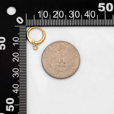 20pcs Raw Brass Round Leverback Earrings, Brass Ear Hooks (RB-312)