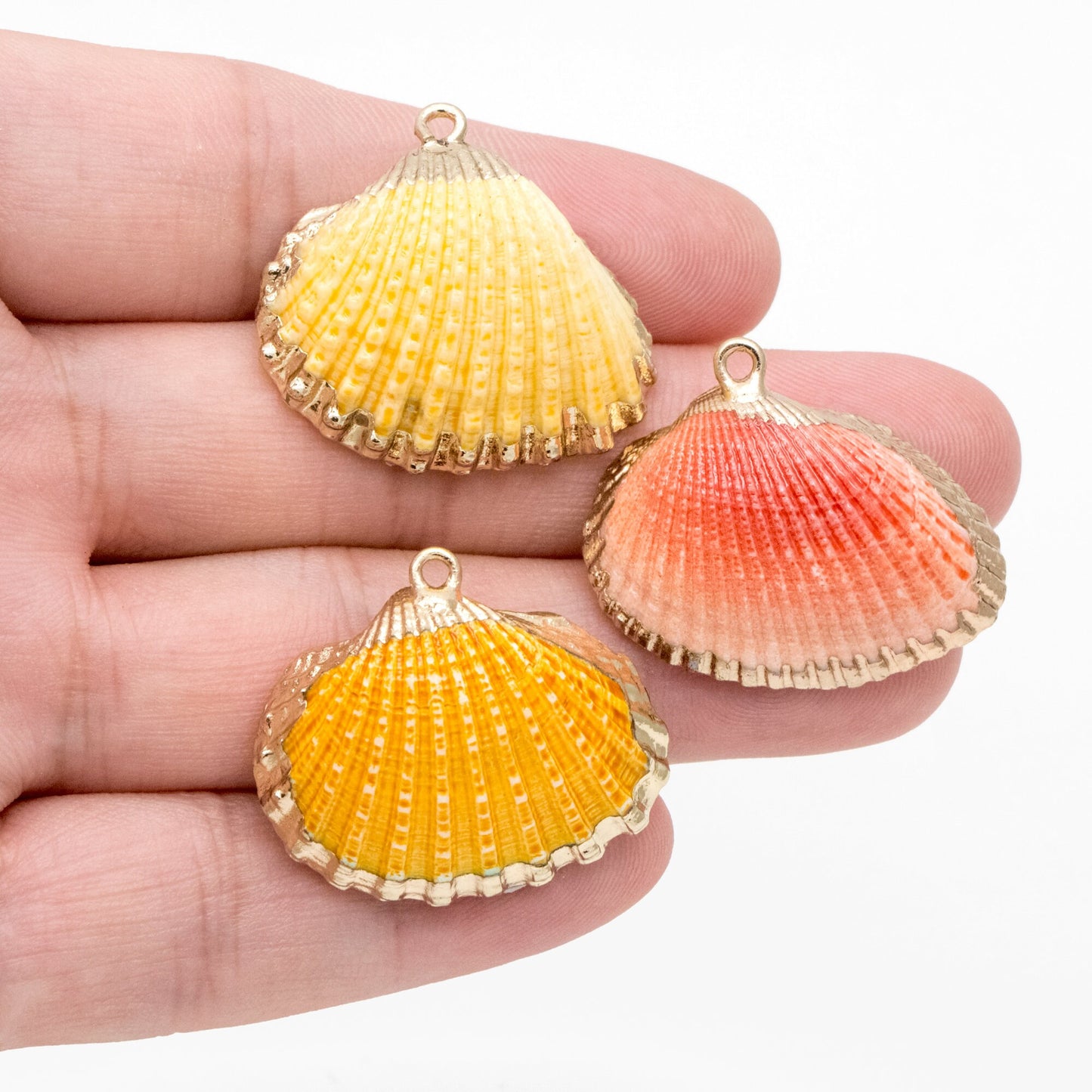 10pcs Natural Shell Charms, Gold plated Shell Pendants, Yellow/ Orange/ Red (#V1390)