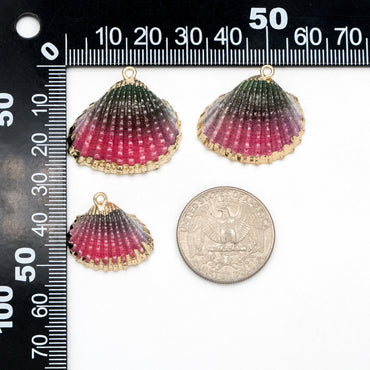 10pcs Natural Shell Charms, Gold plated Shell Pendants, Beach Theme Jewelry Supplies (#V1389)