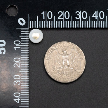 10pcs Natural Shell with Gold Heart Beads- 8mm Coin Spacer Beads- Double Sided (V1410)