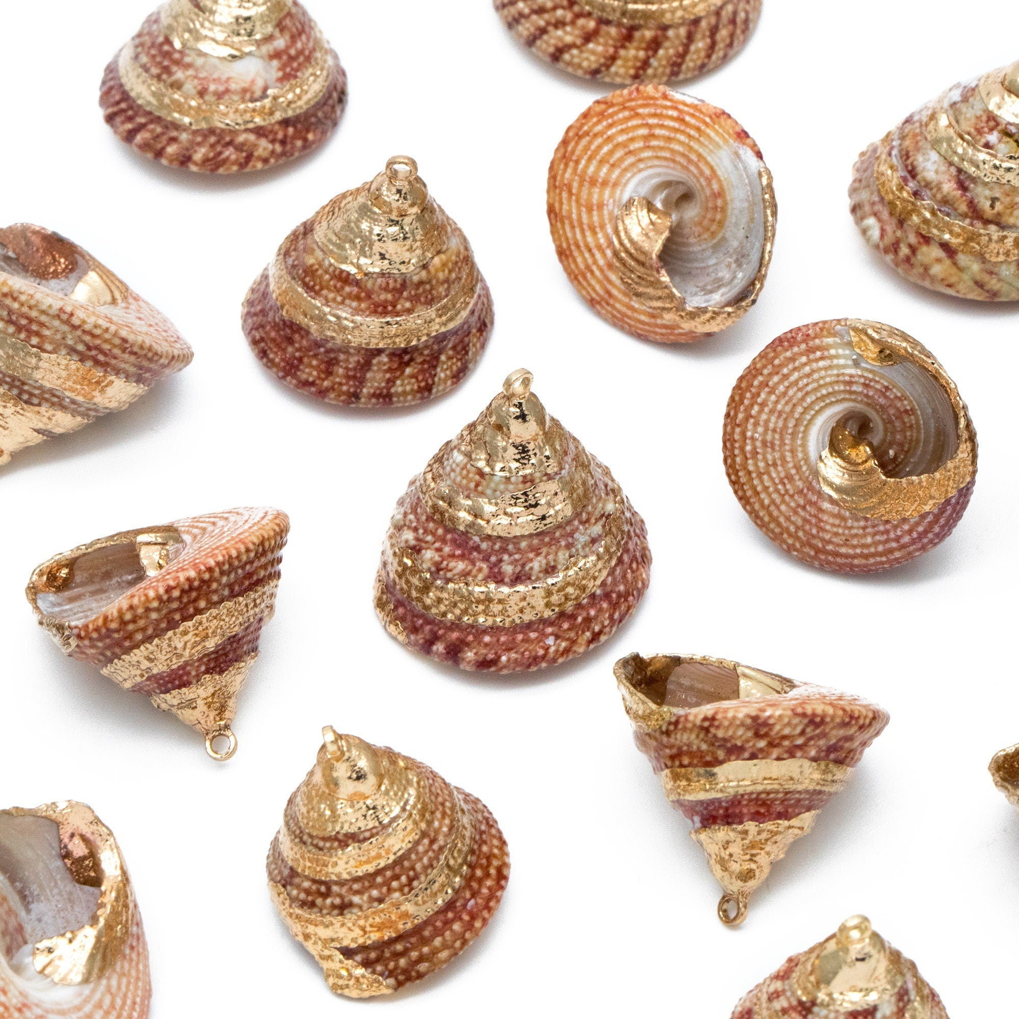 10pcs Natural Shell Charms, Whelk Seashell Charms, Seashell Earrings Pendant (#V1425)
