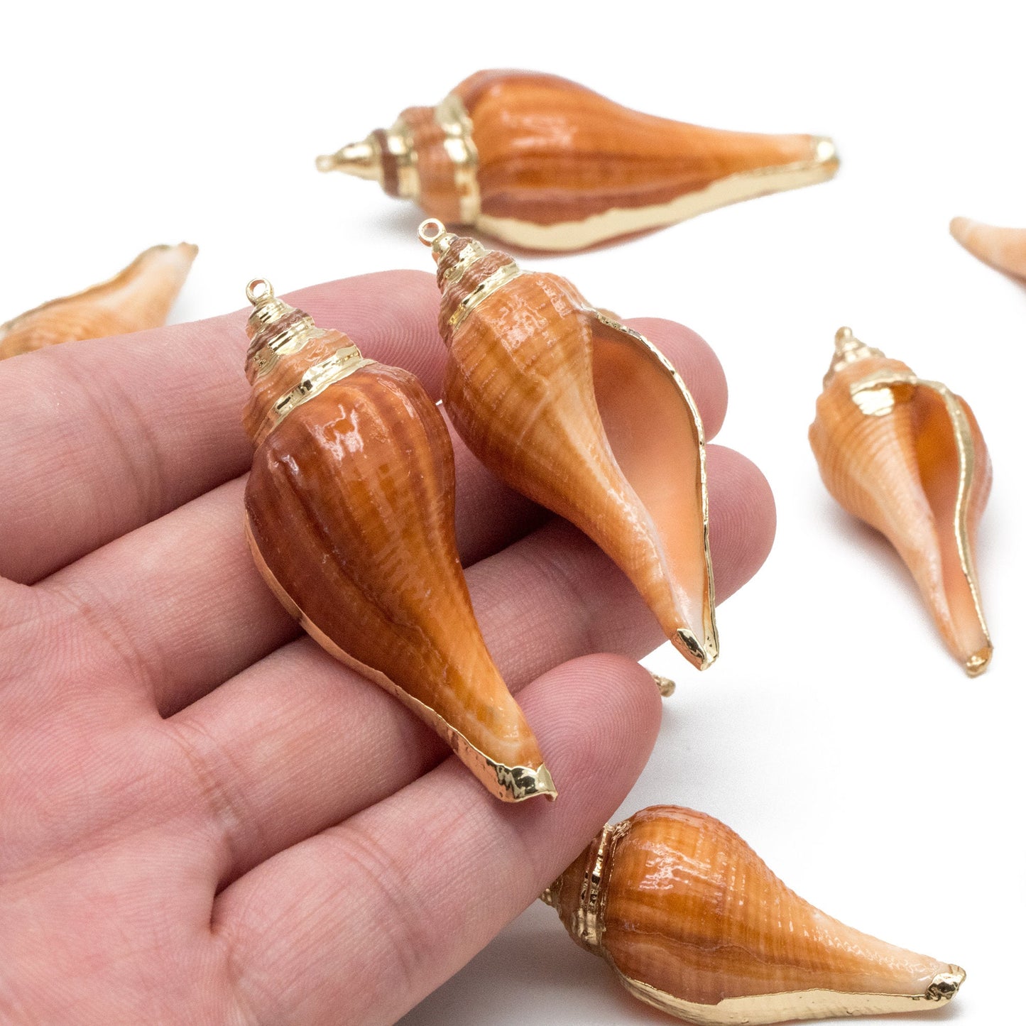 4pcs Natural Shell Charms, Whelk Seashell Charms, Seashell Earrings Pendant (#V1426)