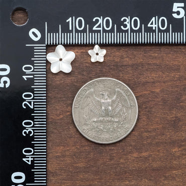 10pcs White Mother of Pearl Carved 3D Flowers 6/ 10mm, Center Drilled Shell Beads (#V1296)