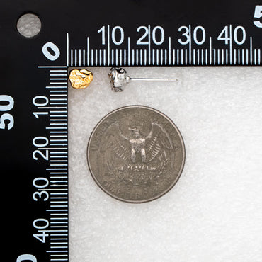 10pcs Gold/ Silver Irregular Stud Earrings, 18K Real Gold/ Rhodium plated Brass Minimalsit Earrings (#GB-4754)