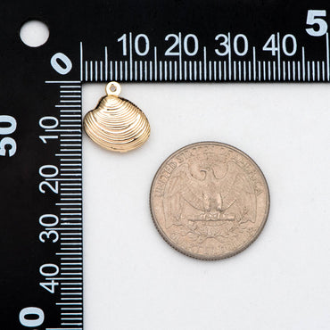 10pcs Gold Seashell Charms 13.5x14mm, 18K Gold plated Brass, 3D Shell Dangle Pendants (GB-2680-B)