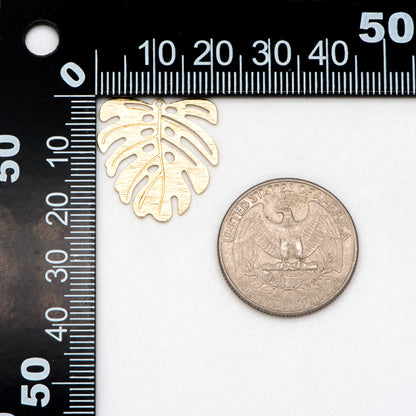 10pcs Raw Brass Brushed Monstera Charms 22x21mm, Leaf Necklace Pendants, Brass Findings Wholesale (RB-200)