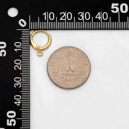 20pcs Raw Brass Round Leverback Earrings, Brass Ear Hooks (RB-312)