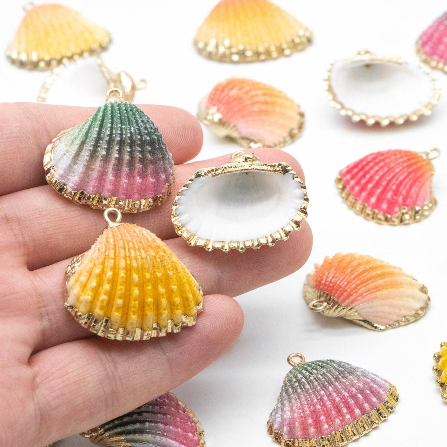 10pcs Natural Shell Charms, Gold plated Shell Pendants, Beach Theme Jewelry Supplies (#V1389)