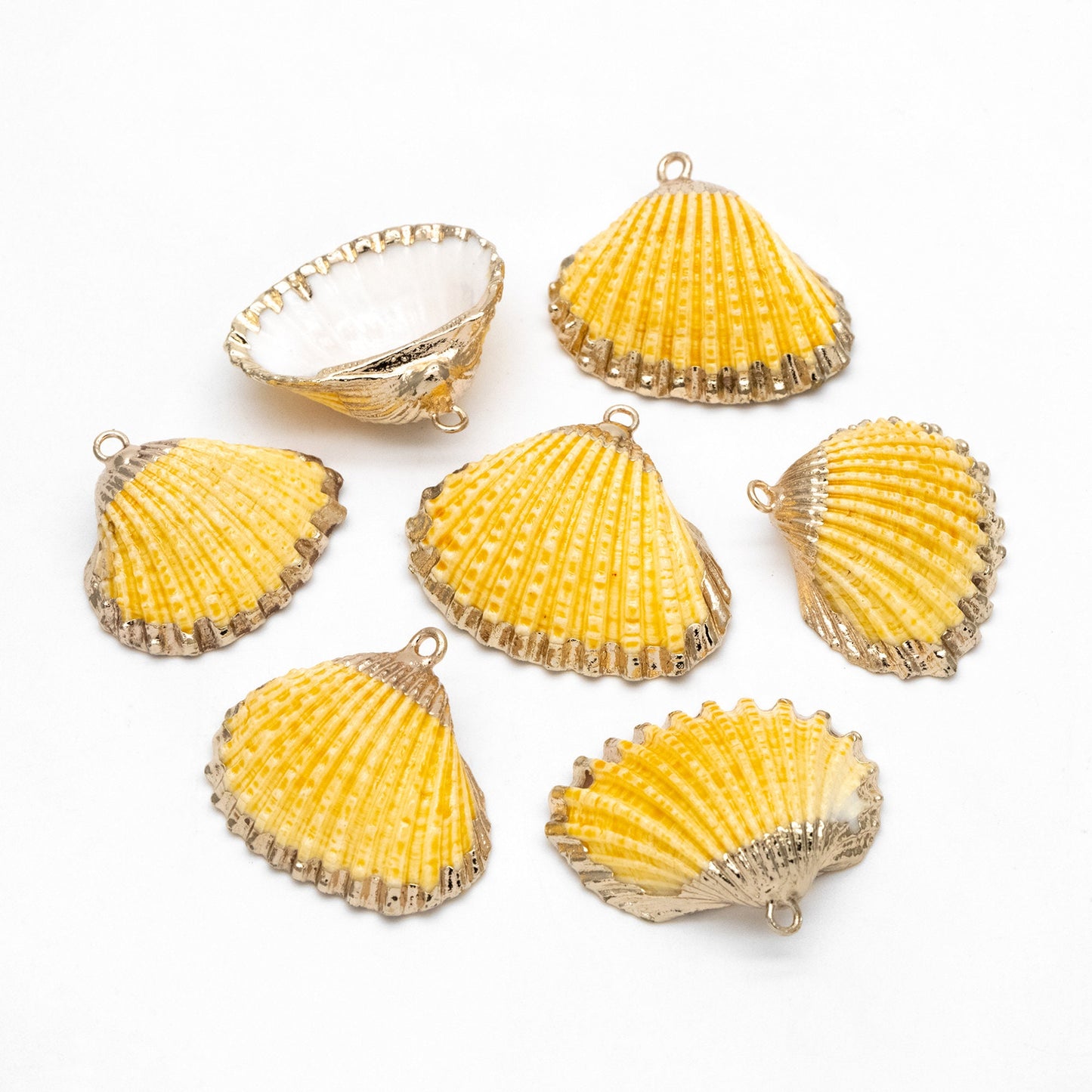 10pcs Natural Shell Charms, Gold plated Shell Pendants, Yellow/ Orange/ Red (#V1390)