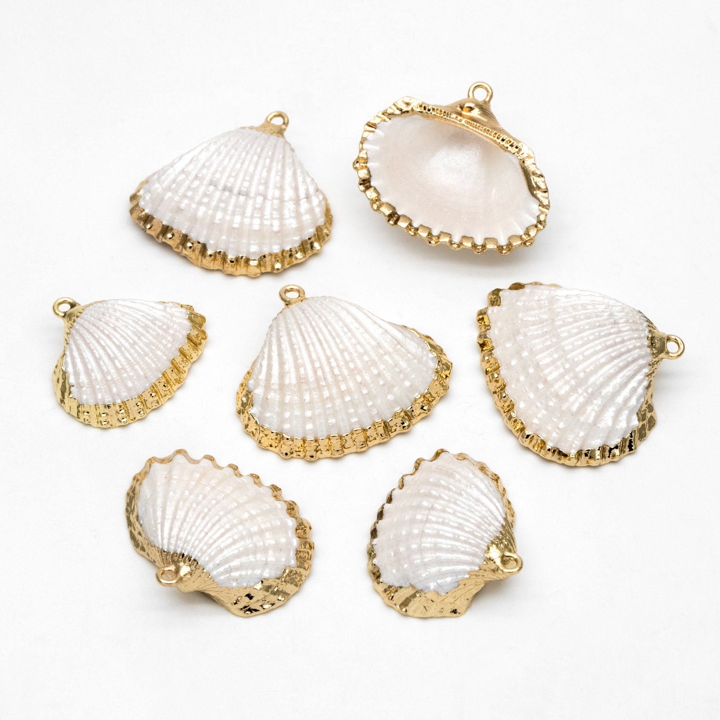 10pcs Natural Shell Charms, Gold plated Shell Pendants, White/ Aqua/ Pink (#V1388)