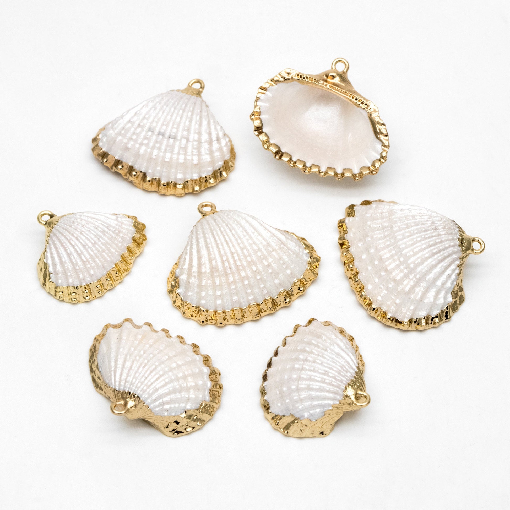 10pcs Natural Shell Charms, Gold plated Shell Pendants, White/ Aqua/ Pink (#V1388)