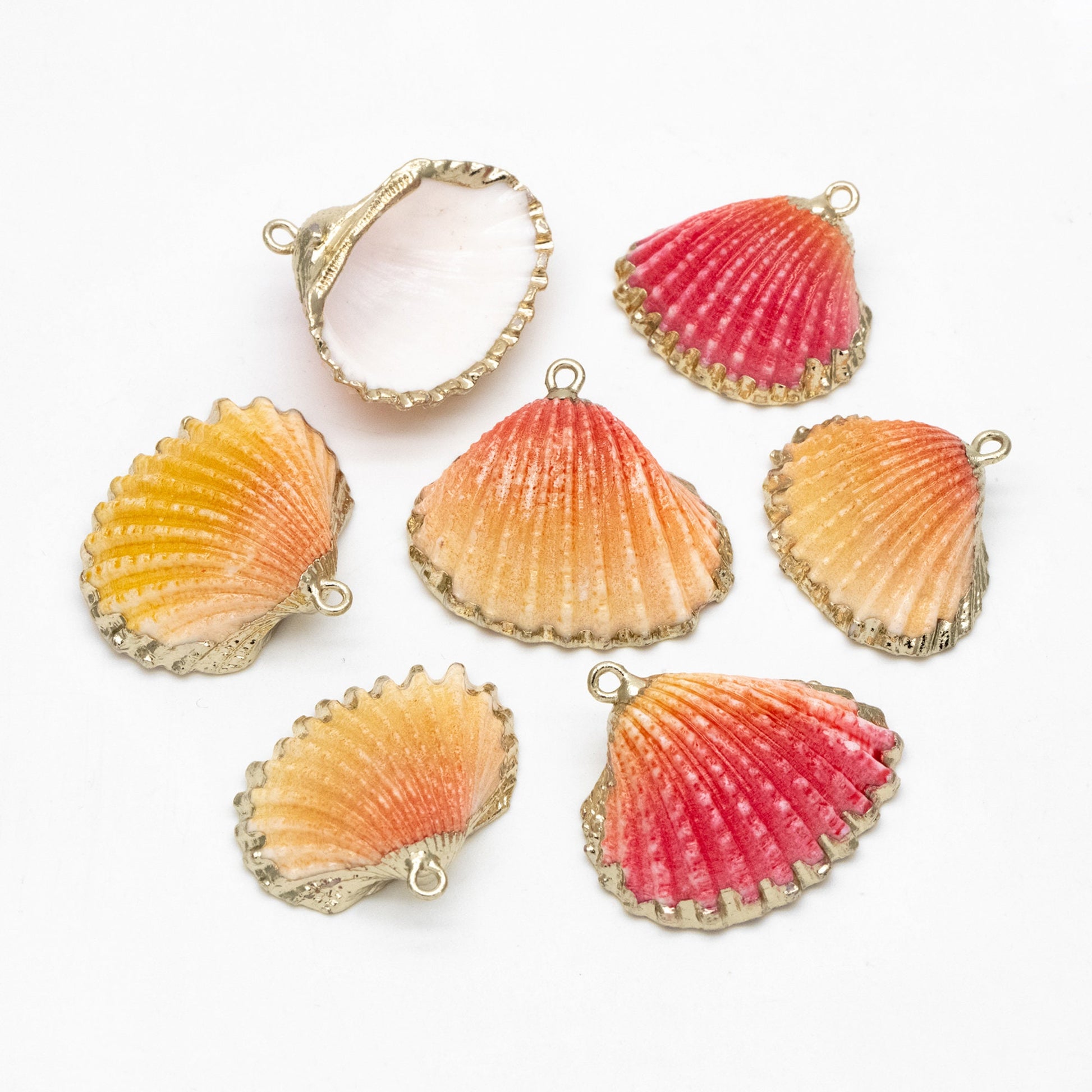 10pcs Natural Shell Charms, Gold plated Shell Pendants, Beach Theme Jewelry Supplies (#V1389)