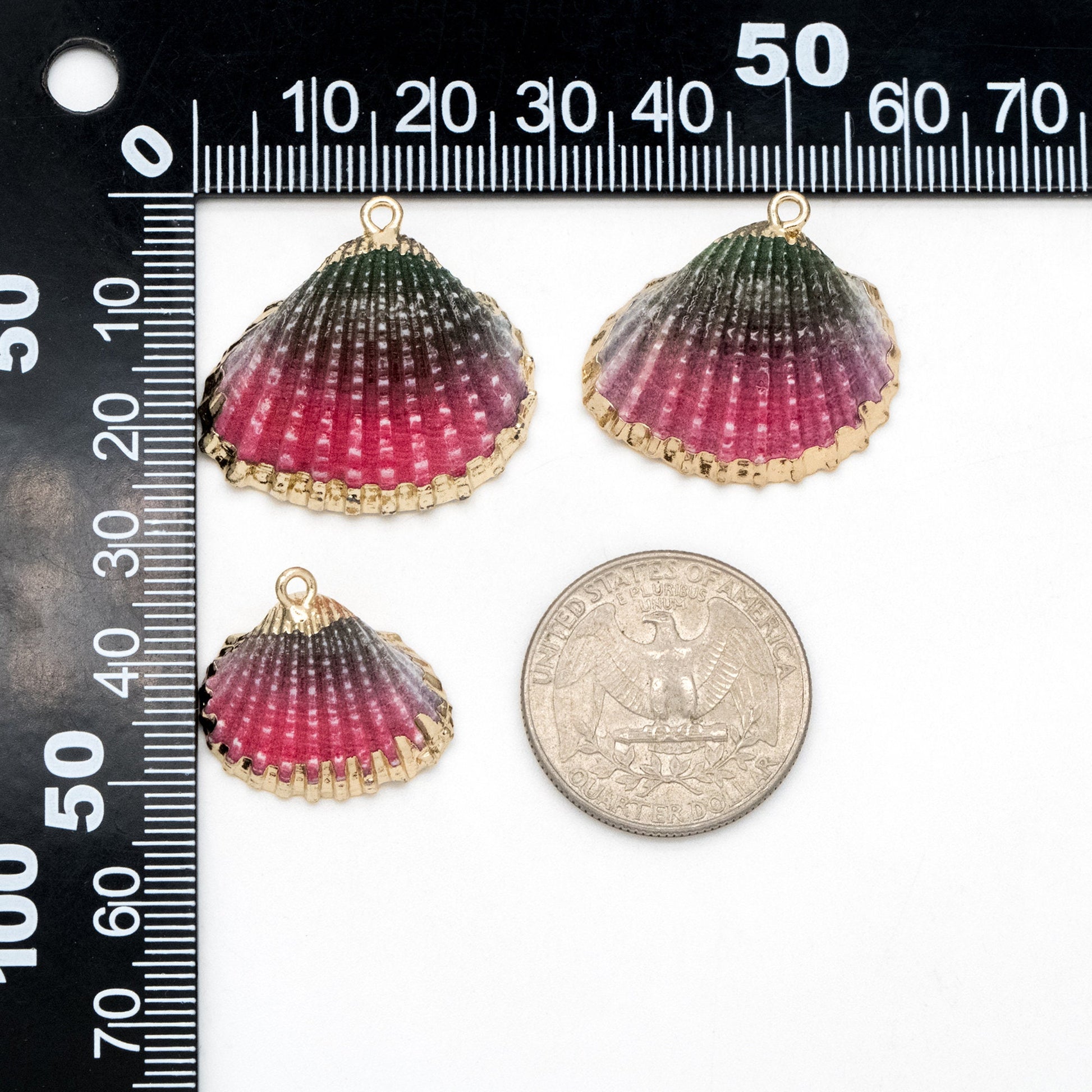 10pcs Natural Shell Charms, Gold plated Shell Pendants, Beach Theme Jewelry Supplies (#V1389)