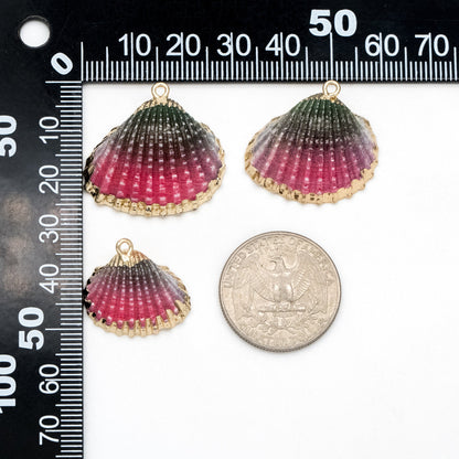 10pcs Natural Shell Charms, Gold plated Shell Pendants, Beach Theme Jewelry Supplies (#V1389)
