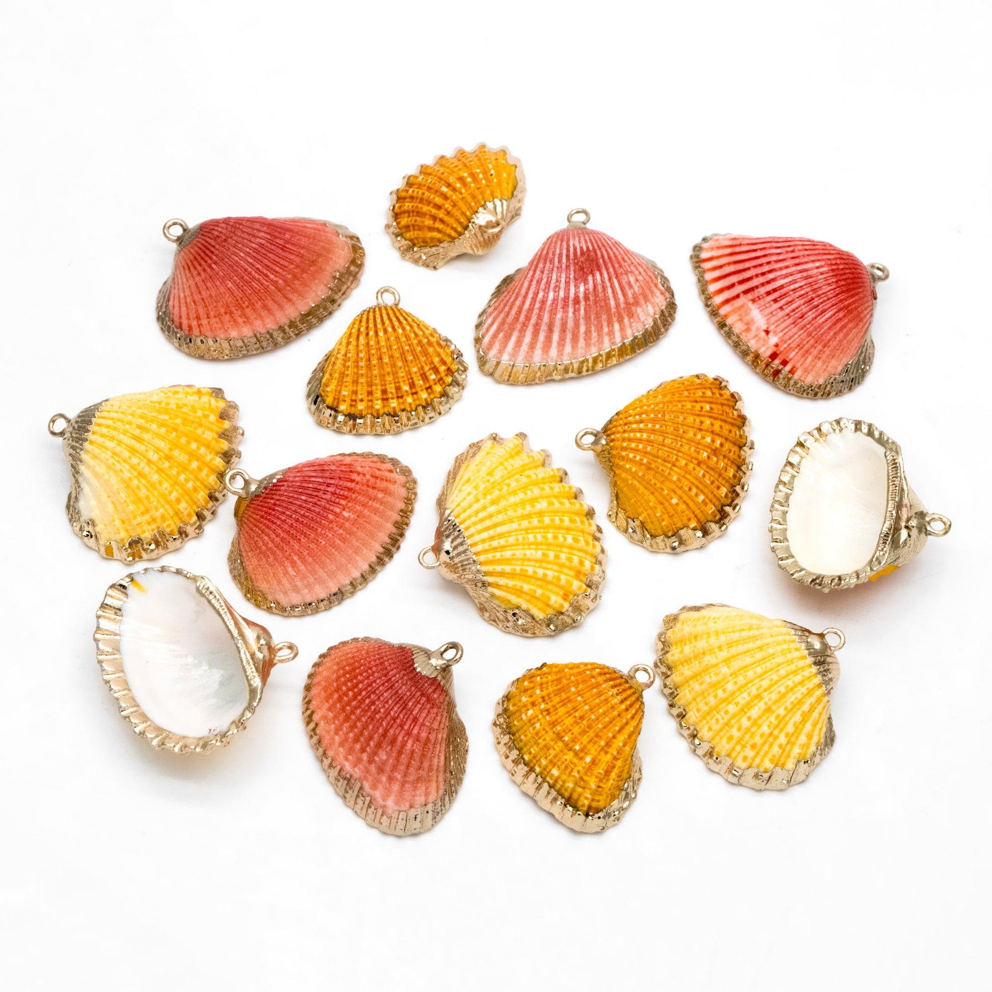 10pcs Natural Shell Charms, Gold plated Shell Pendants, Yellow/ Orange/ Red (#V1390)