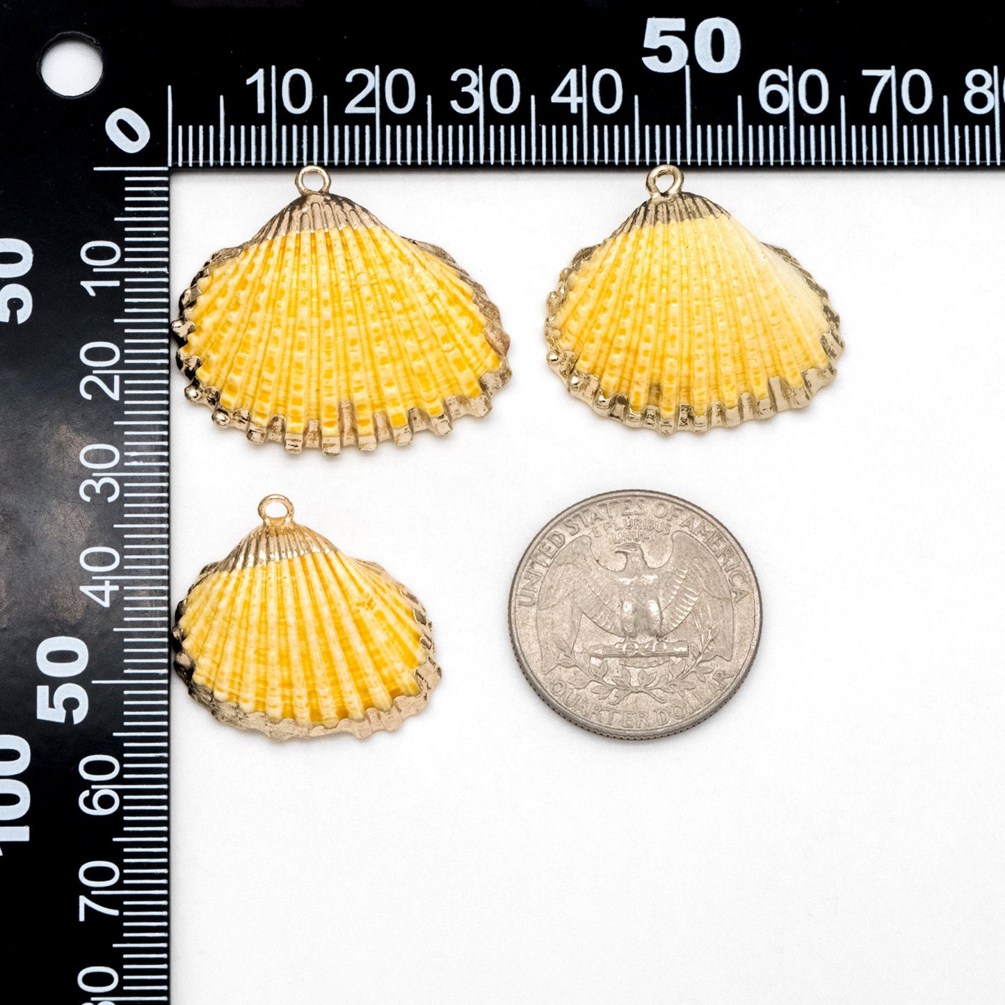 10pcs Natural Shell Charms, Gold plated Shell Pendants, Yellow/ Orange/ Red (#V1390)