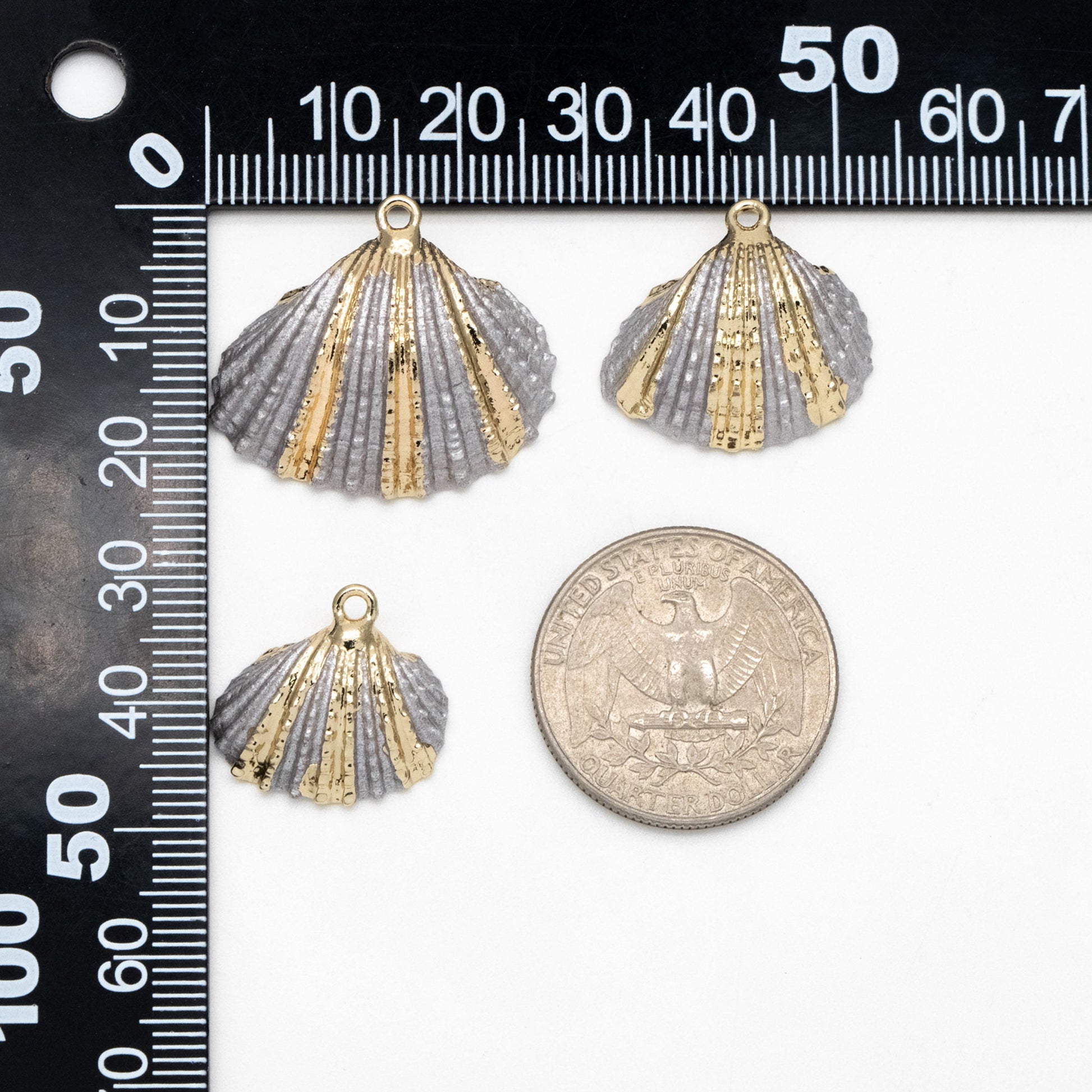 10pcs Natural Shell Charms, Gold plated Shell Pendants, Grey Striped Pattern (#V1400)