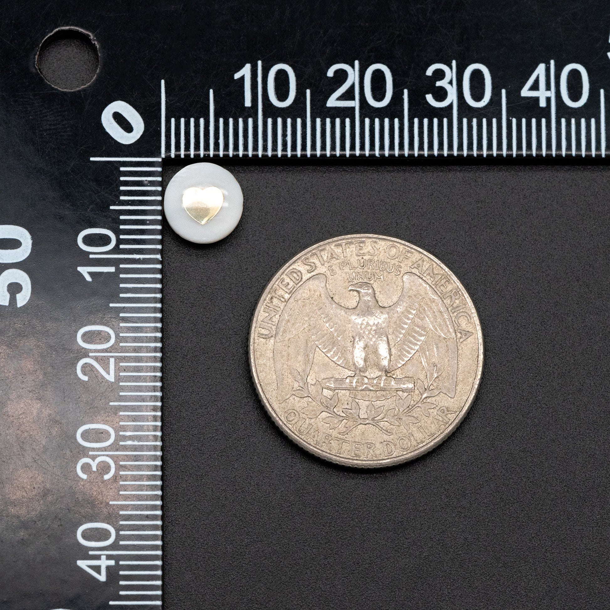 10pcs Natural Shell with Gold Heart Beads- 8mm Coin Spacer Beads- Double Sided (V1410)