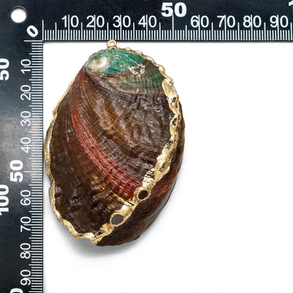4pcs Abalone Shell Charms, Seashell Pendant, Gold Tone Plated Necklace charm (BK-027)