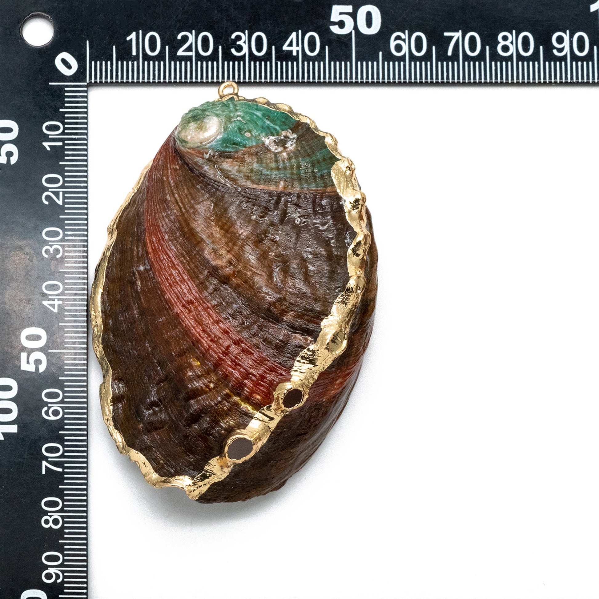 4pcs Abalone Shell Charms, Seashell Pendant, Gold Tone Plated Earring charm (#V1417)