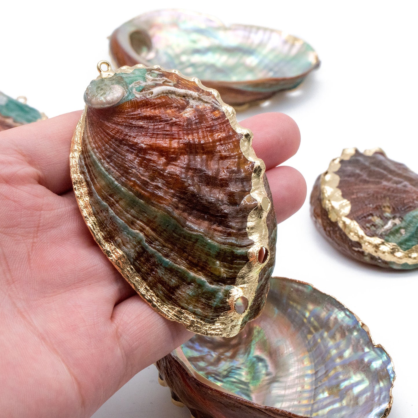 4pcs Abalone Shell Charms, Seashell Pendant, Gold Tone Plated Earring charm (#V1417)
