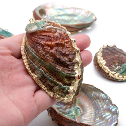 4pcs Abalone Shell Charms, Seashell Pendant, Gold Tone Plated Earring charm (#V1417)