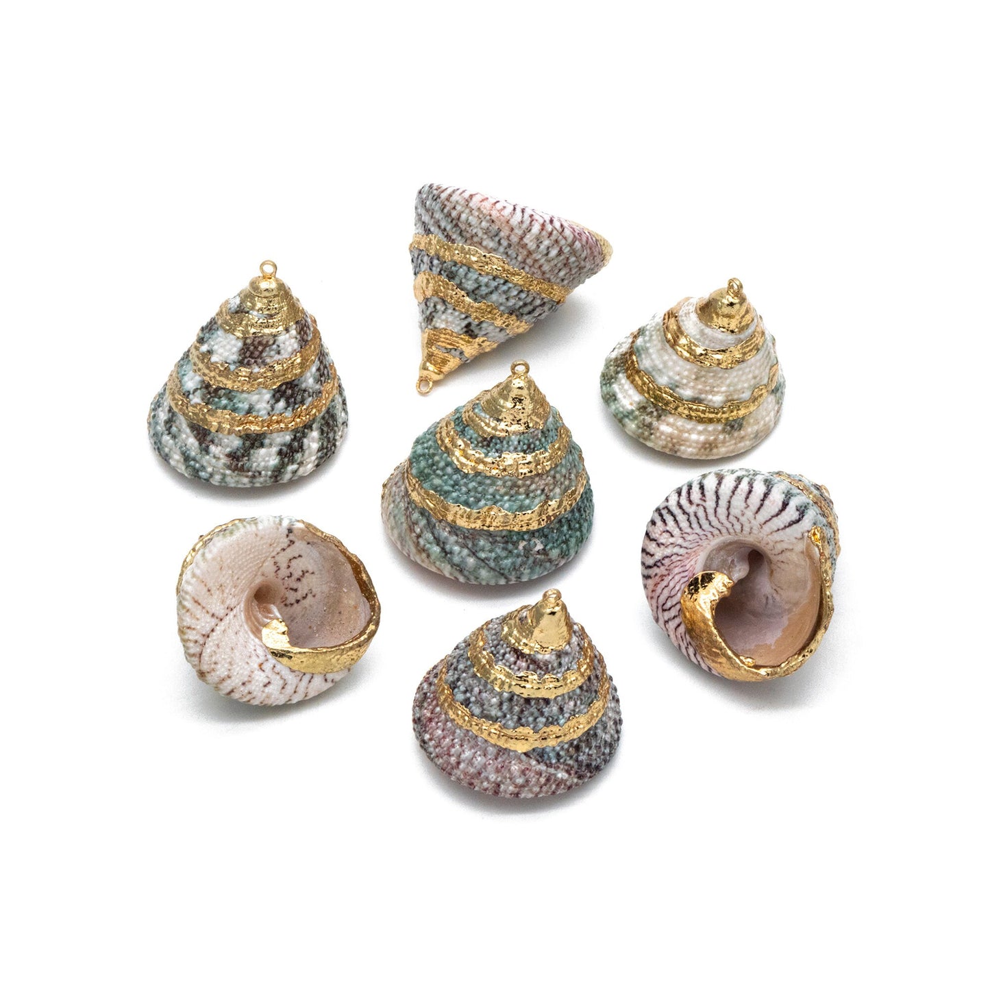 4pcs Natural Shell Charms, Whelk Seashell Charms, Seashell Earrings Pendant (#V1422)