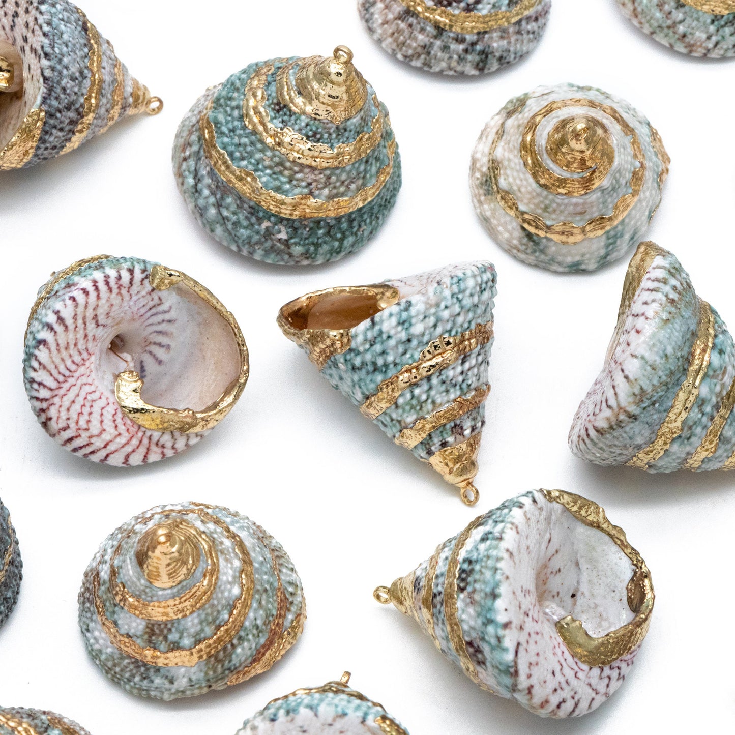 4pcs Natural Shell Charms, Whelk Seashell Charms, Seashell Earrings Pendant (#V1422)