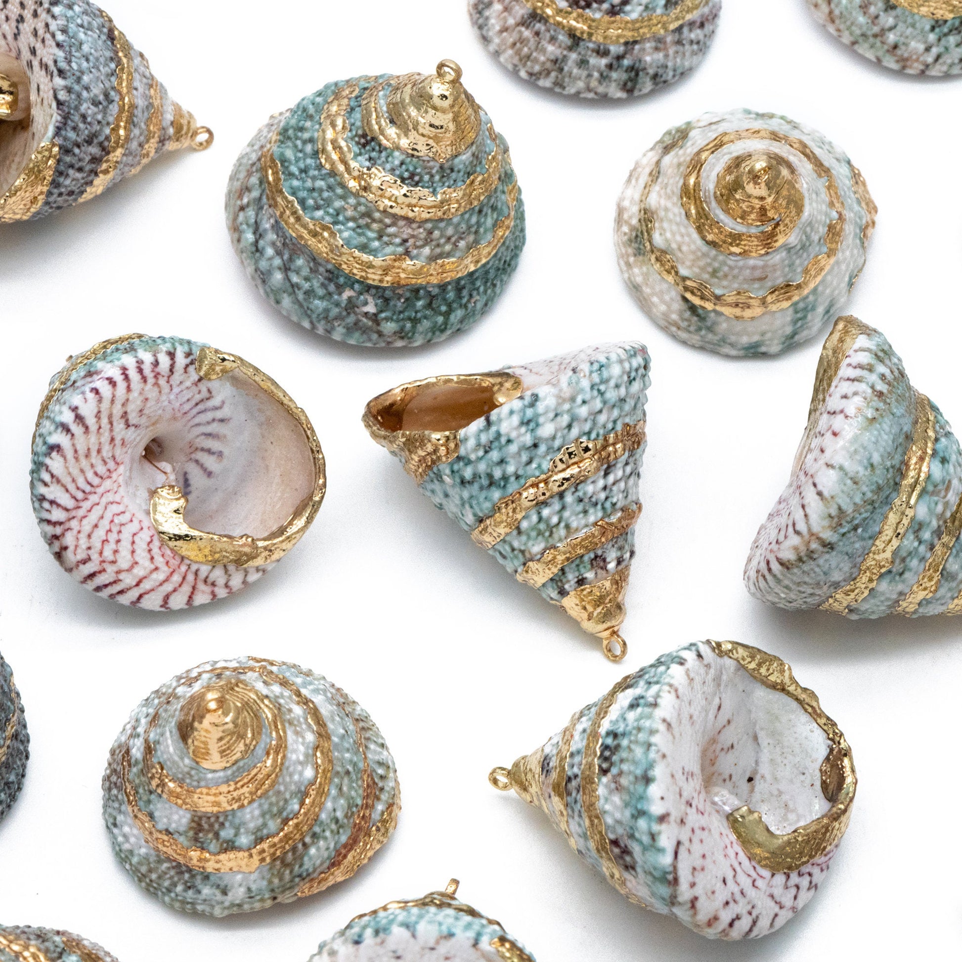 4pcs Natural Shell Charms, Whelk Seashell Charms, Seashell Earrings Pendant (#V1422)