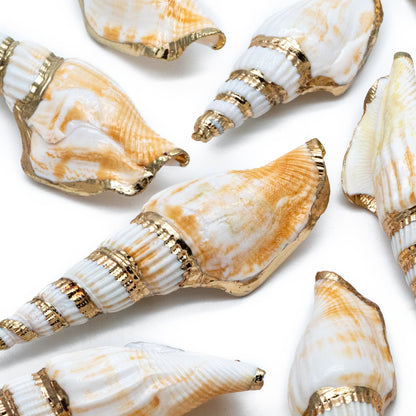 4pcs Natural Shell Charms, Whelk Seashell Charms, Seashell Earrings Pendant (#V1423)