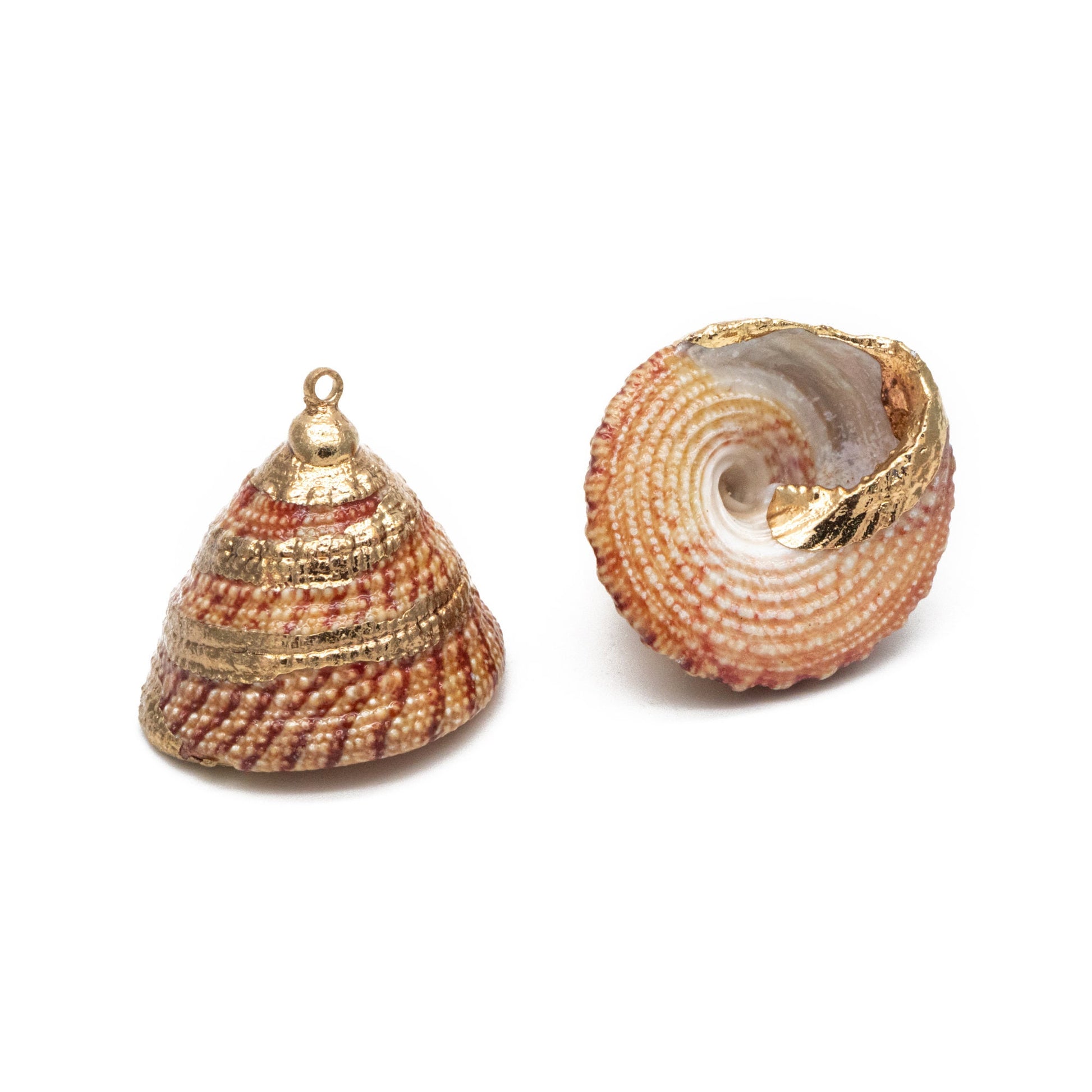 10pcs Natural Shell Charms, Whelk Seashell Charms, Seashell Earrings Pendant (#V1425)