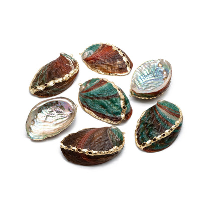 4pcs Abalone Shell Charms, Seashell Pendant, Gold Tone Plated Earring charm (#V1417)