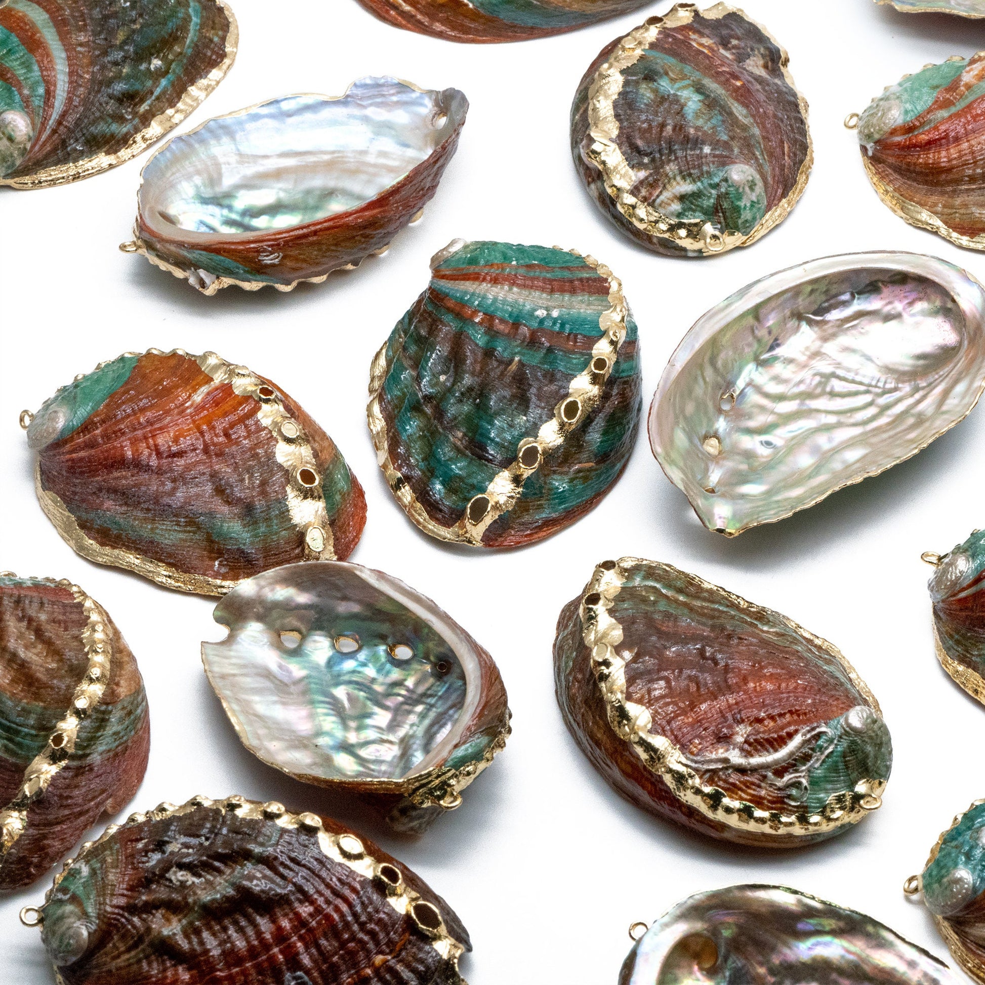 4pcs Abalone Shell Charms, Seashell Pendant, Gold Tone Plated Earring charm (#V1417)