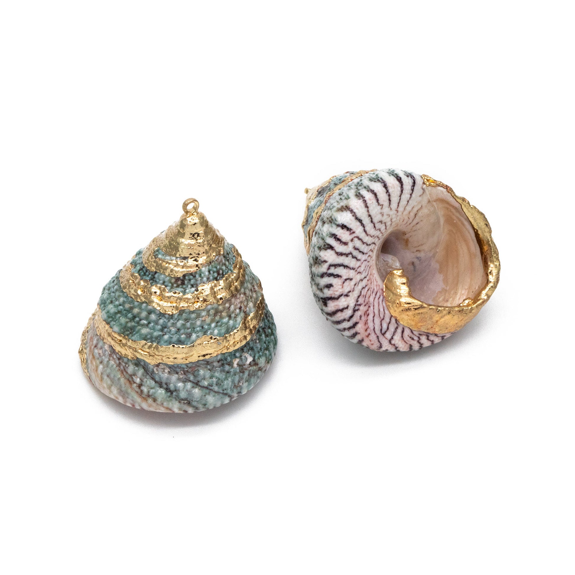 4pcs Natural Shell Charms, Whelk Seashell Charms, Seashell Earrings Pendant (#V1422)