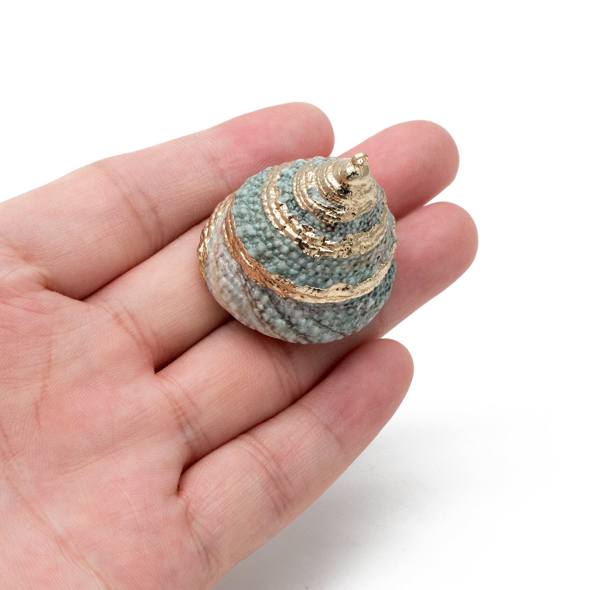 4pcs Natural Shell Charms, Whelk Seashell Charms, Seashell Earrings Pendant (#V1422)