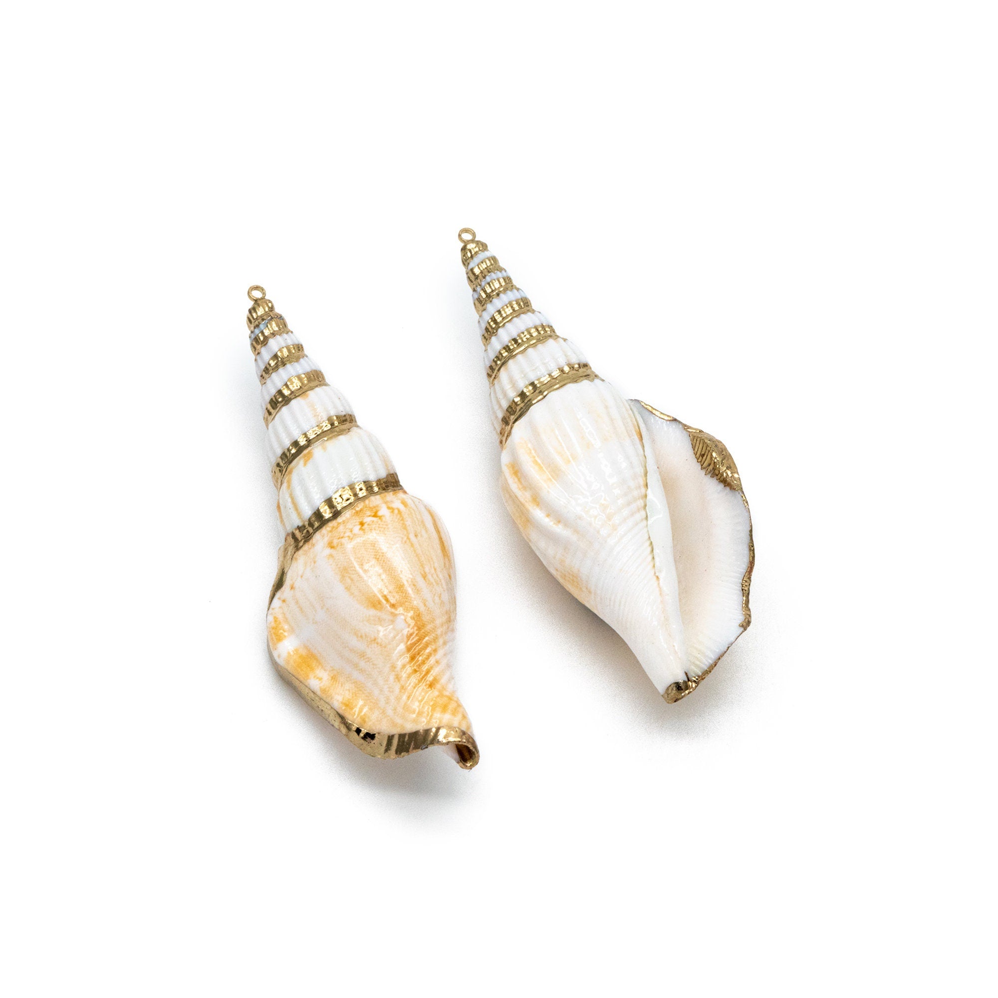 4pcs Natural Shell Charms, Whelk Seashell Charms, Seashell Earrings Pendant (#V1423)
