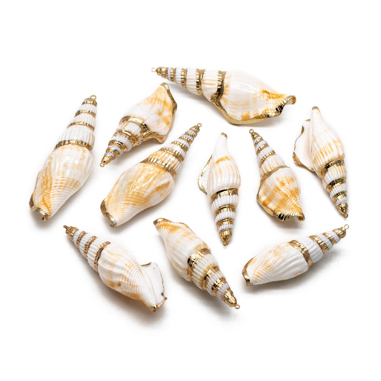 4pcs Natural Shell Charms, Whelk Seashell Charms, Seashell Earrings Pendant (#V1423)