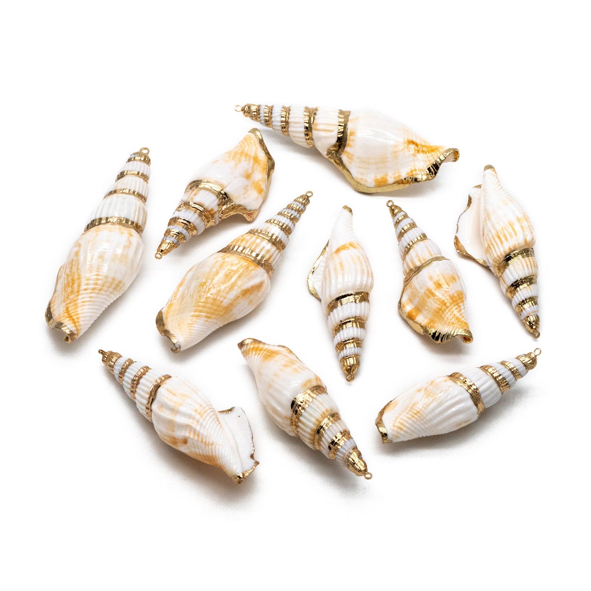 4pcs Natural Shell Charms, Whelk Seashell Charms, Seashell Earrings Pendant (#V1423)