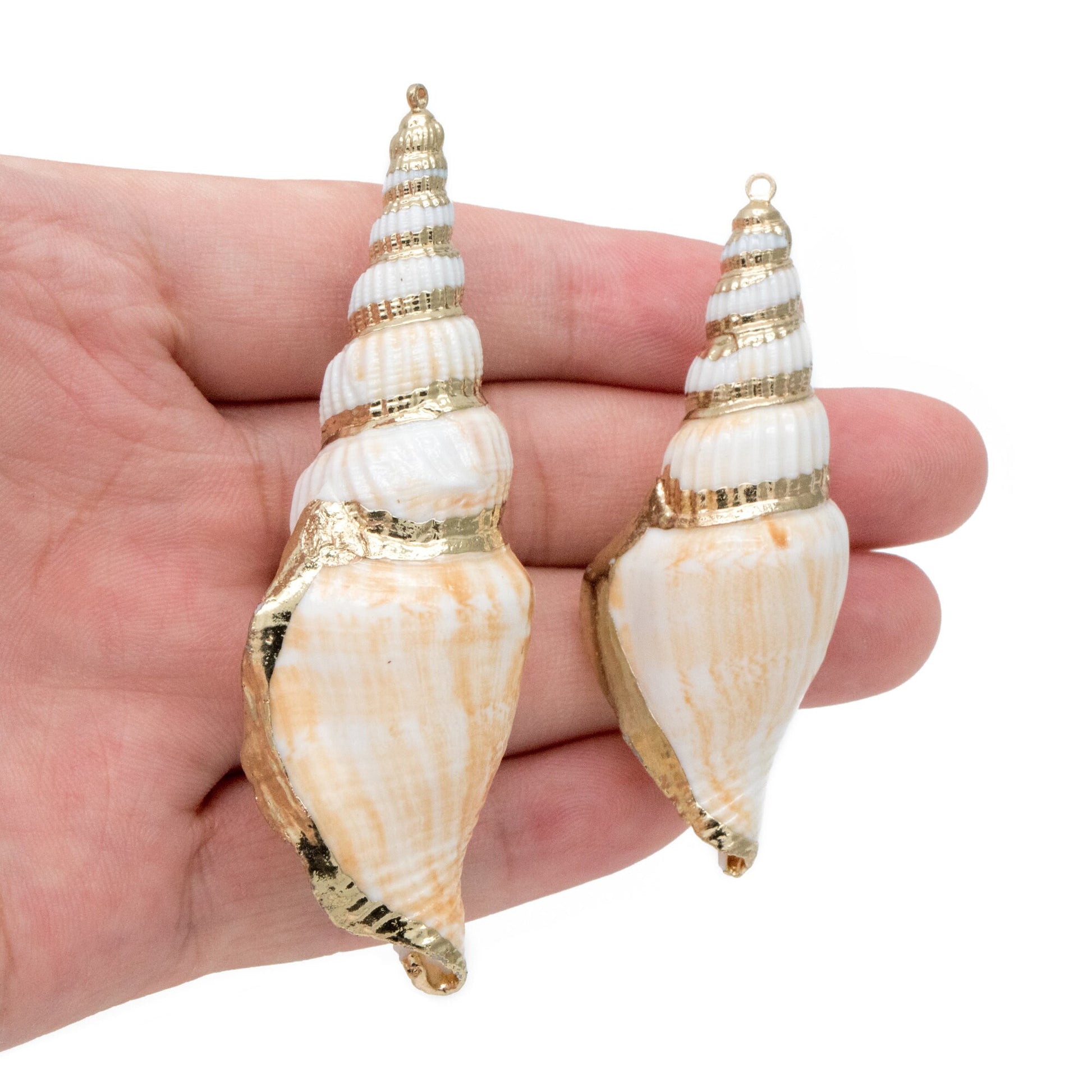 4pcs Natural Shell Charms, Whelk Seashell Charms, Seashell Earrings Pendant (#V1423)