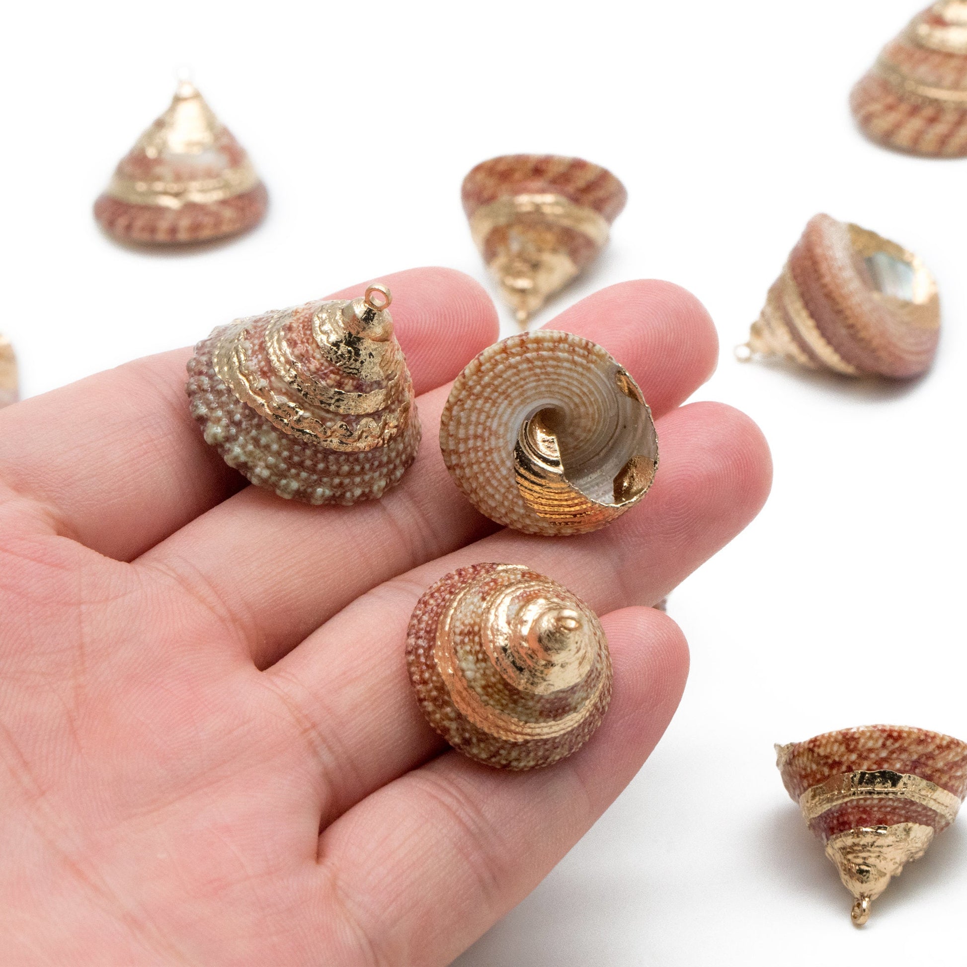 10pcs Natural Shell Charms, Whelk Seashell Charms, Seashell Earrings Pendant (#V1425)