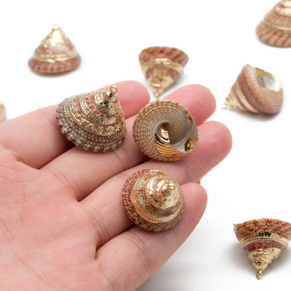10pcs Natural Shell Charms, Whelk Seashell Charms, Seashell Earrings Pendant (#V1425)