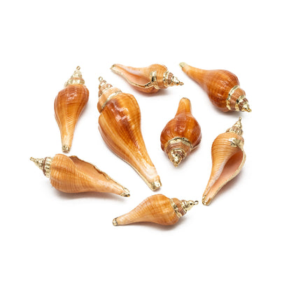 4pcs Natural Shell Charms, Whelk Seashell Charms, Seashell Earrings Pendant (#V1426)