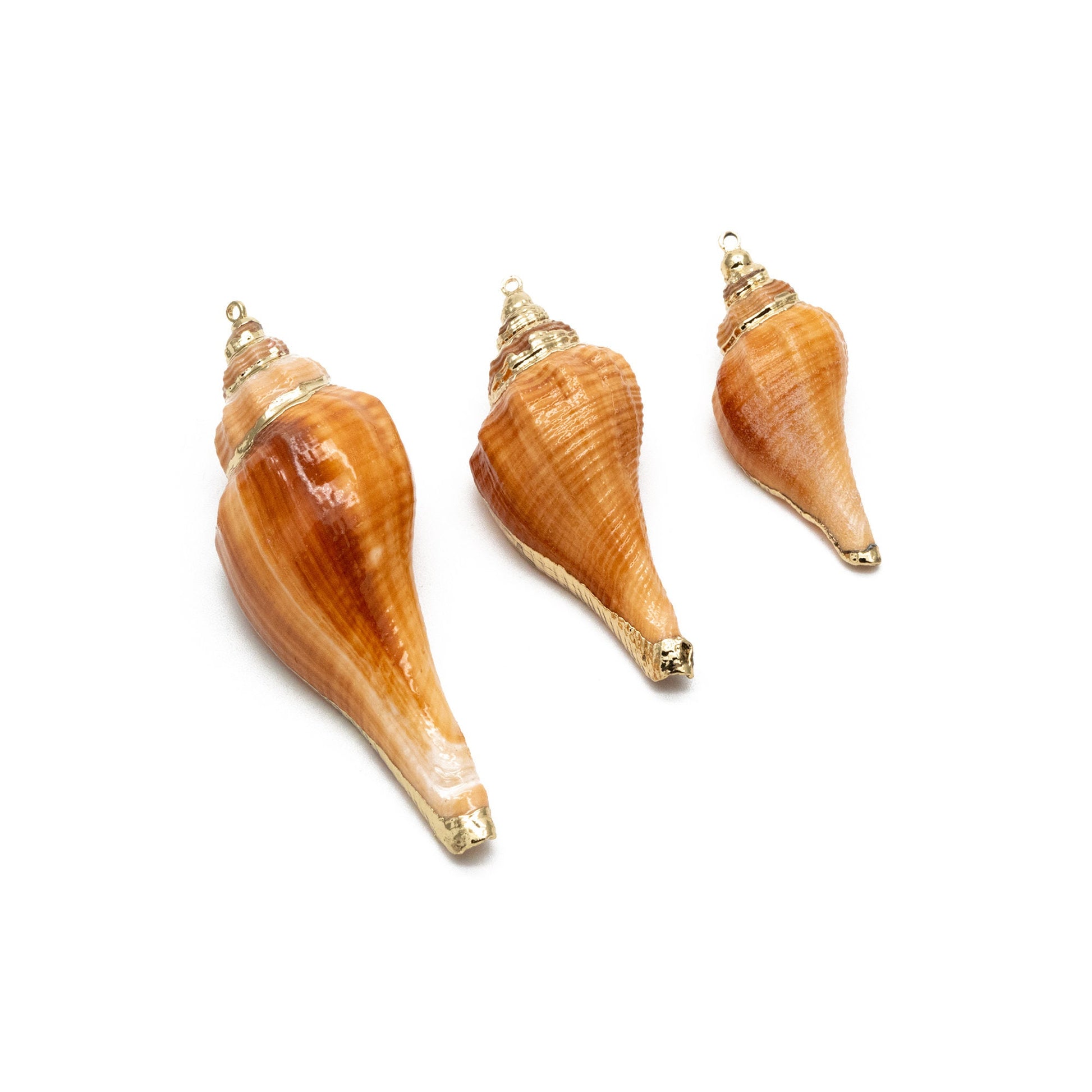 4pcs Natural Shell Charms, Whelk Seashell Charms, Seashell Earrings Pendant (#V1426)