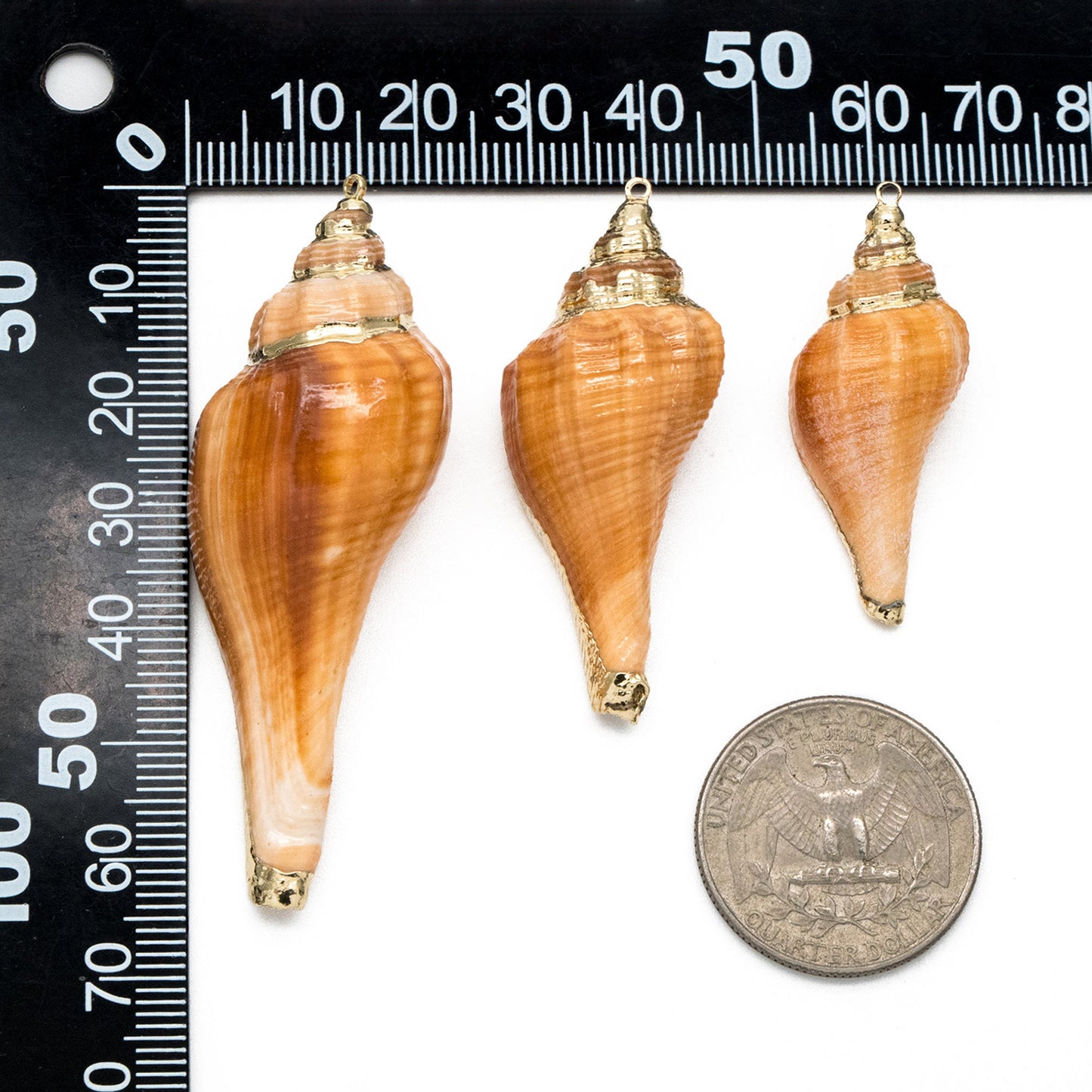 4pcs Natural Shell Charms, Whelk Seashell Charms, Seashell Earrings Pendant (#V1426)