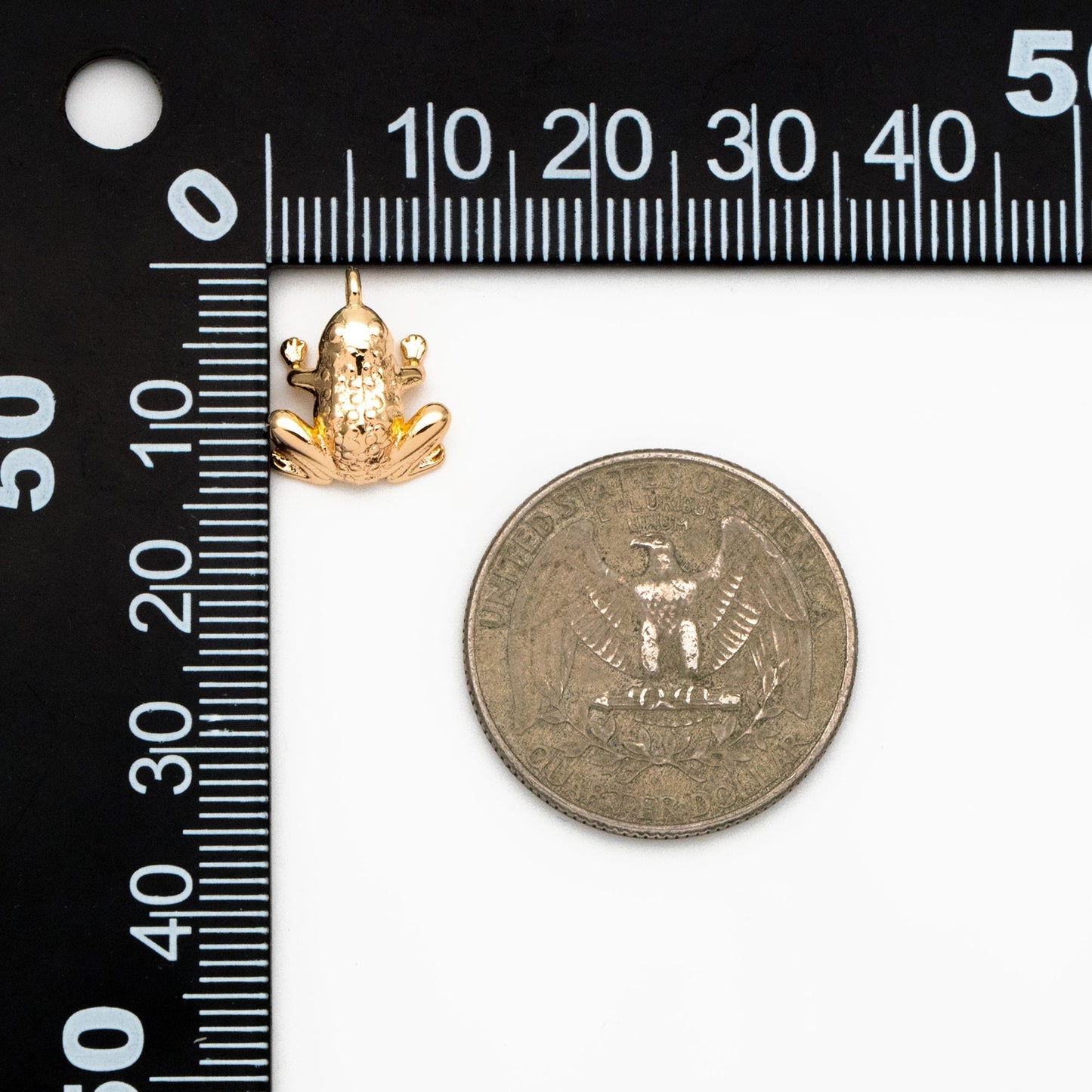 10pcs Gold/ Silver 3D Frog Charm, 18K Gold/ Rhodium Plated Brass, Toad Charms (GB-4358)