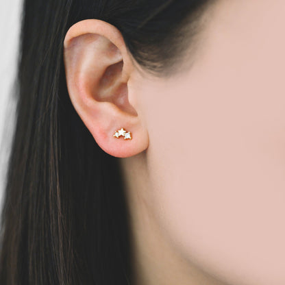 10pcs CZ Pave Gold/ Silver Tone Star Earrings, Gold/ Rhodium Plated Brass, Dainty Star Stud Earrings (GB-3041-I)