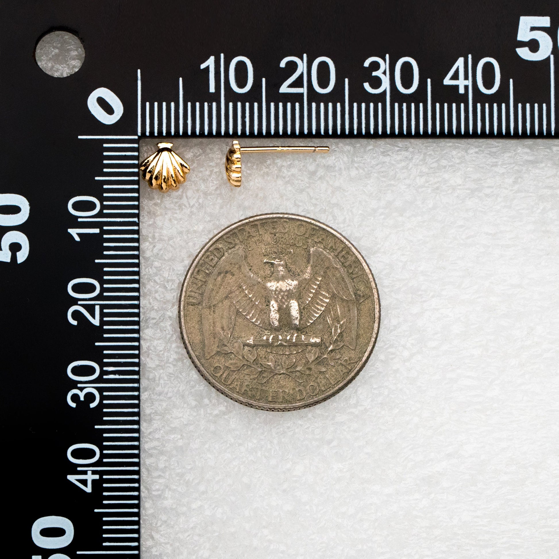 10pcs Gold/ Silver Shell Earring 6x6mm, Gold/ Rhodium plated Brass Seashell Stud Earrings (GB-4460)