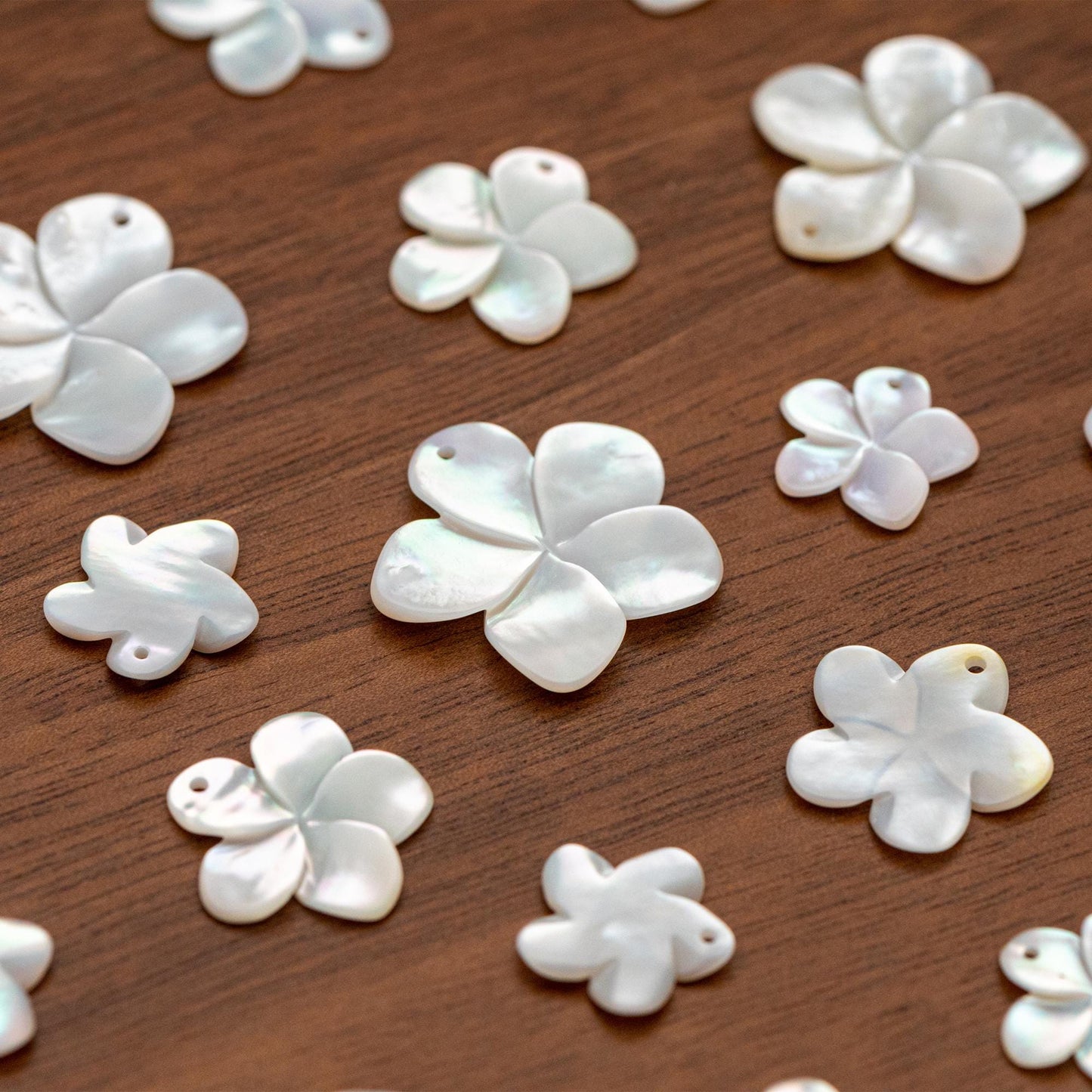10pcs White Mother of Pearl Flowers 14/ 17/ 24mm, Top Side Drilled, Shell Plumeria Flowers for Earrings -(V1164)