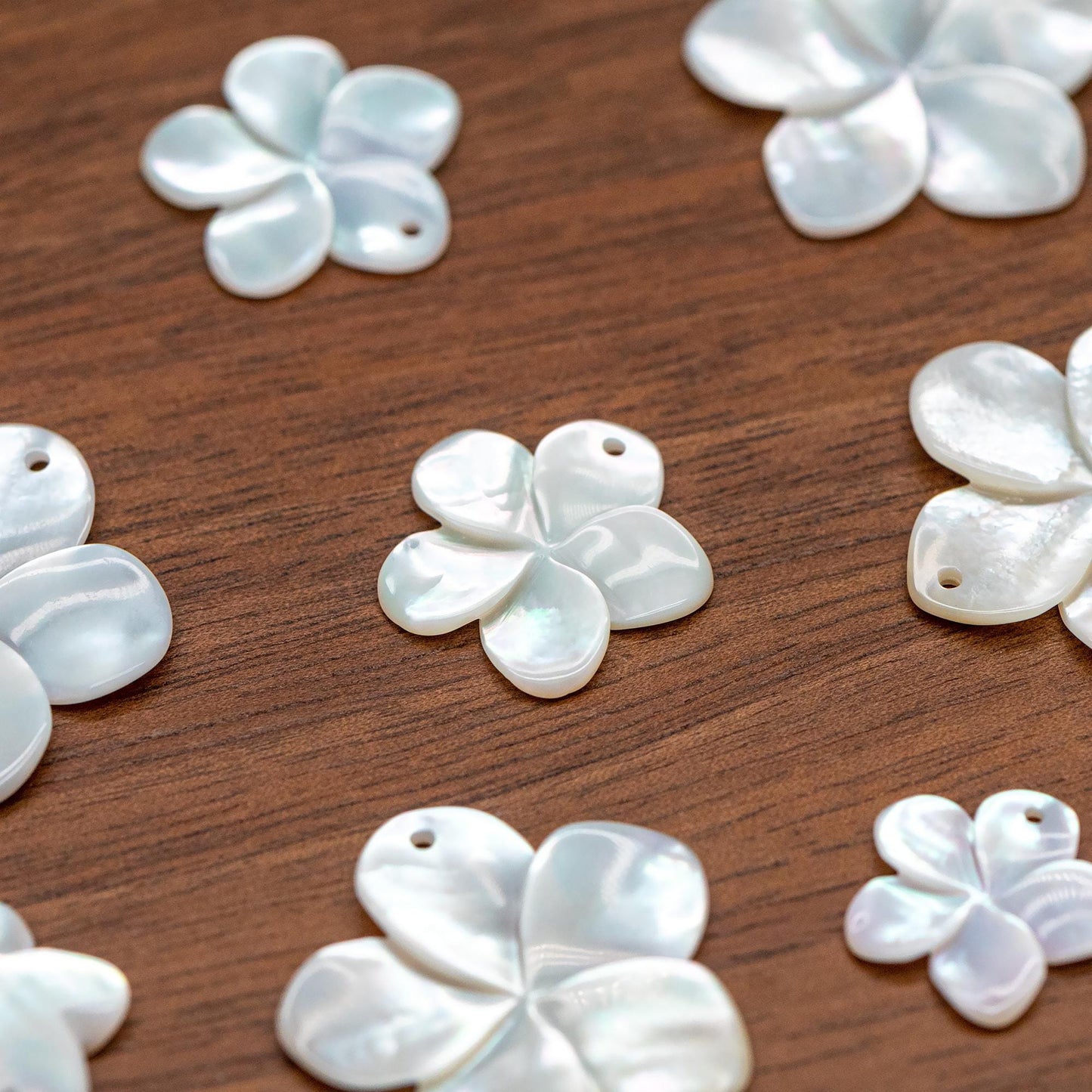 10pcs White Mother of Pearl Flowers 14/ 17/ 24mm, Top Side Drilled, Shell Plumeria Flowers for Earrings -(V1164)