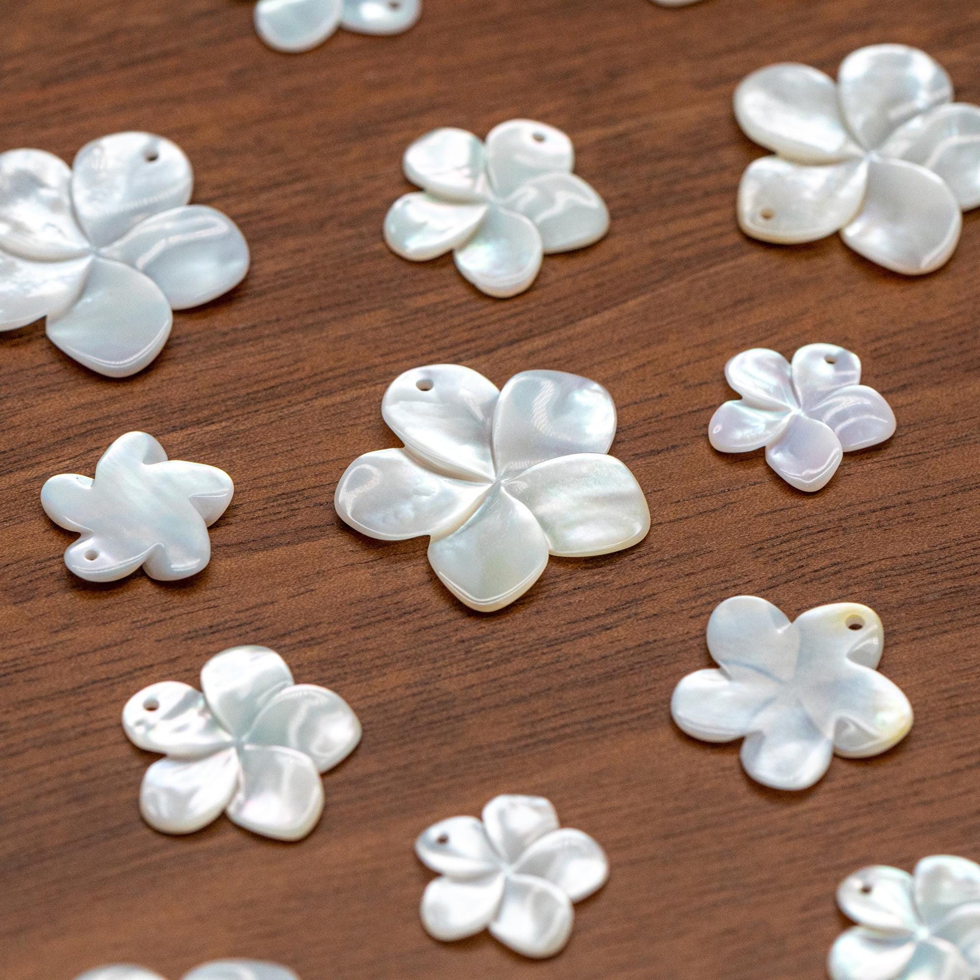 10pcs White Mother of Pearl Flowers 14/ 17/ 24mm, Top Side Drilled, Shell Plumeria Flowers for Earrings -(V1164)